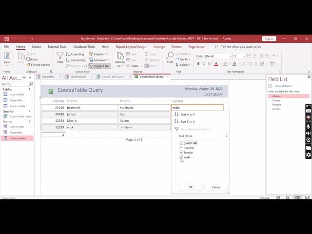 Microsoft access reports-how to filter in a report