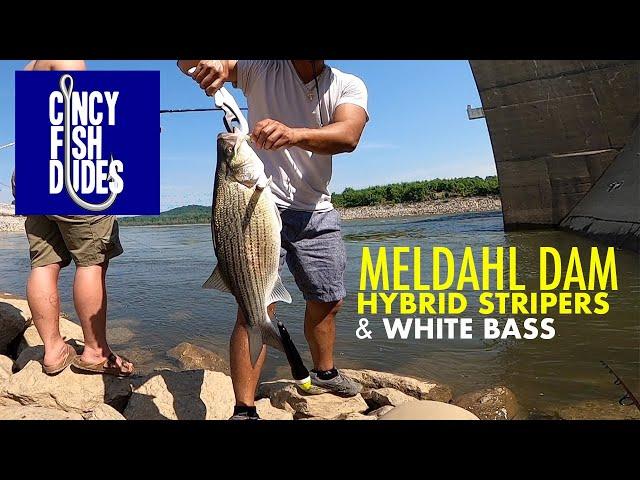 Fishing the MELDAHL DAM | Ohio River