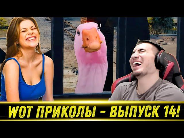 World of Tanks Приколы  WoT Moments  #14 Выпуск - РЕАКЦИЯ БЛАДИ!