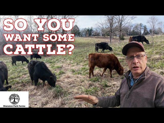 Yes!  YOU Can Raise Cattle & There Is Help Available