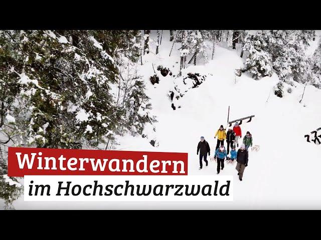 Winterwandern | Hochschwarzwald Winterliebe