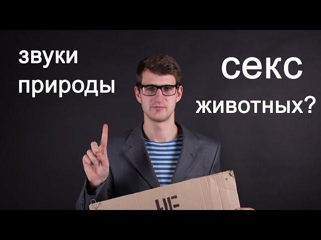 Как часто мы слышим брачный зов животных? #shorts