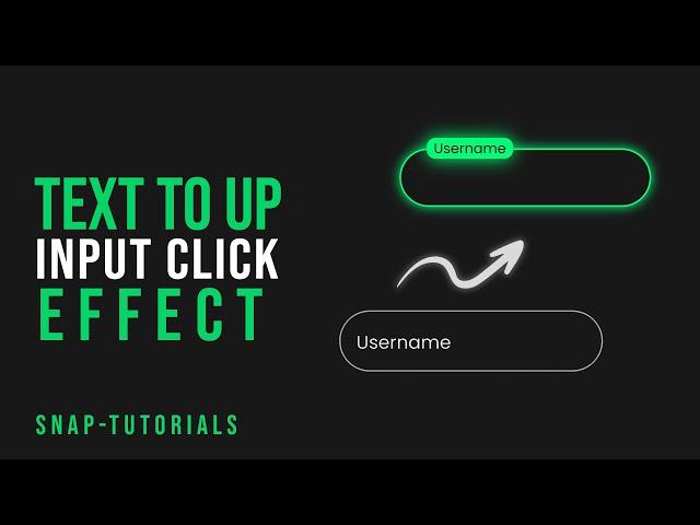 CSS input click Animation - [step-by-step]