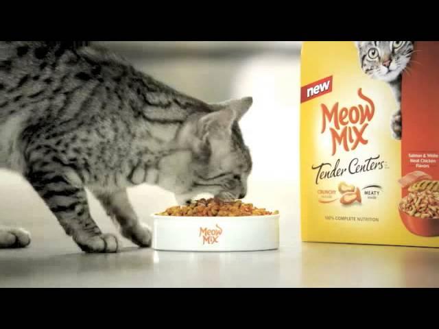 Meow Mix Remix Cat Explosion