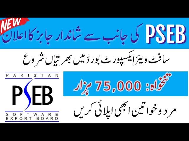 Pakistan Software Export Board PSEB Jobs 2024 NJP Apply Form Online