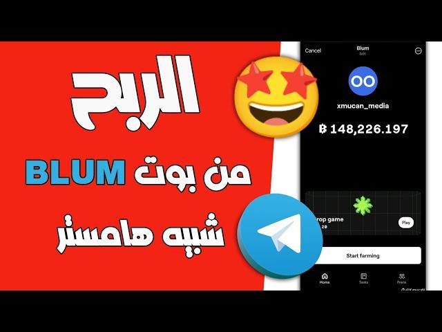 مشروع ضخم شرح بوت Blum و الربح منه