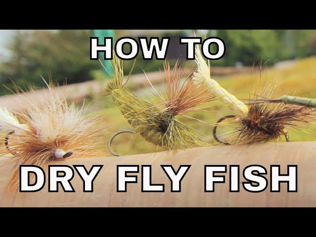 Dry Fly Fishing | How To with Tom Rosenbauer