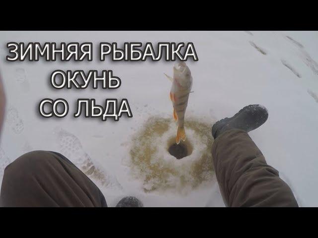 Зимняя рыбалка, первый выход за окунем на лед