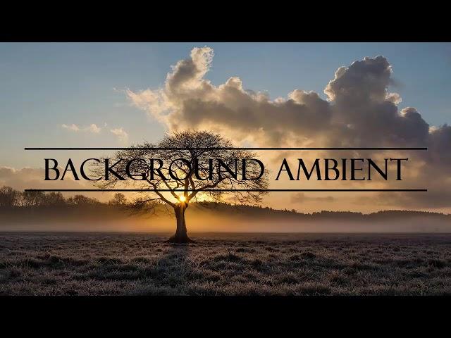 Inspirational and Uplifting Background Music for Videos