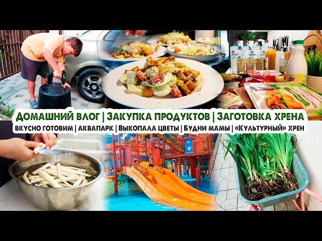 Домашний влогЗакупка продуктовЛетний салатЧечевичный суп-пюреЧкмерулиЗаготовка хрена