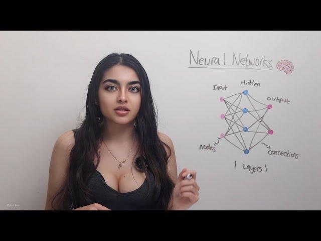 What is a Neural Network?