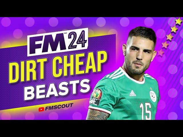 Cheap BEASTS To Sign ASAP In FM24 | Football Manager 2024 Best Players