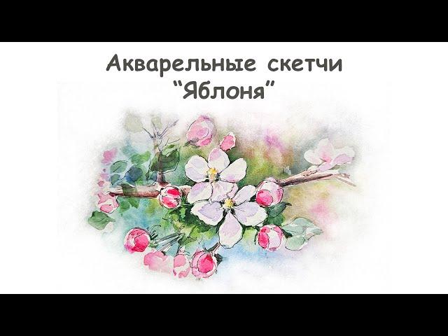 Как нарисовать Яблоню акварелью / Курс "Акварельные скетчи для начинающих" от more-art.ru