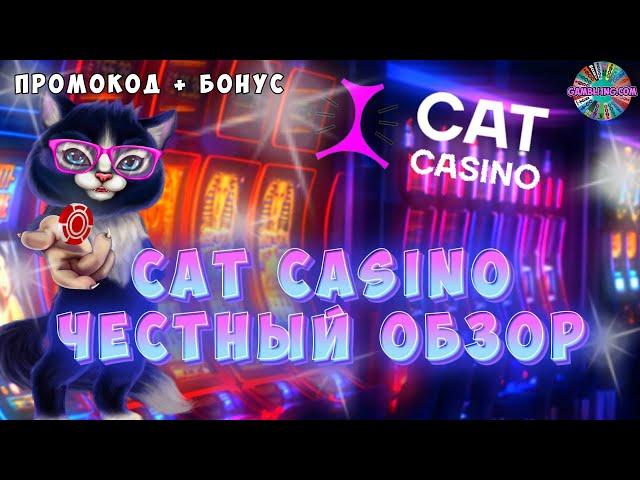 Обзор cat casino | Промокод Cat казино | Бонус Кэт казино №5