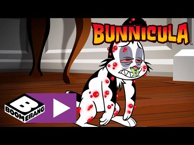 Bunnicula | Bunnicula's Allergic Reaction | Boomerang UK 