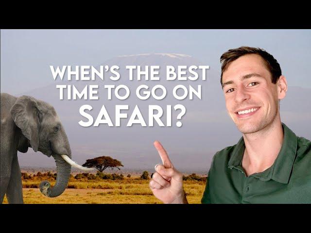 When's the Best Time to Go on Safari? (East Africa)