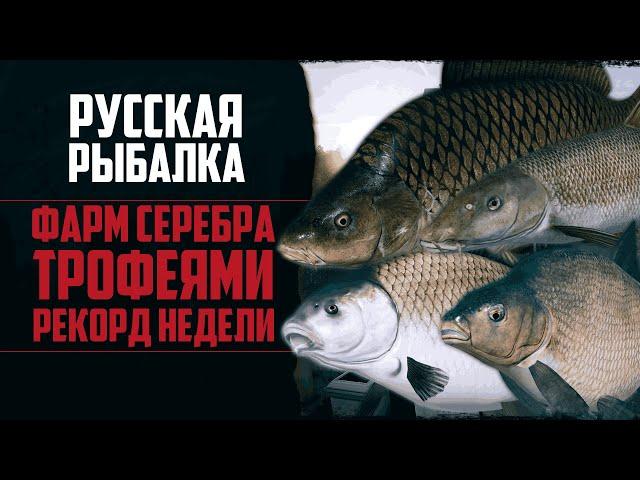 Новый Путь в РР4 #7  Рекордная Рыбалка | Быстрый Фарм Серебра | Трофей за Трофеем