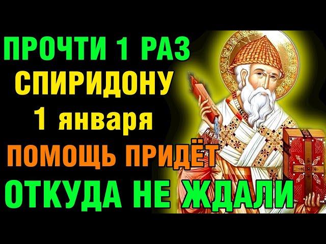 24 декабря ПРОЧТИ 1 РАЗ! ПОМОЩЬ ПРИДЁТ ОТКУДА НЕ ЖДАЛИ! Акафист Спиридону Тримифунтскому Православие