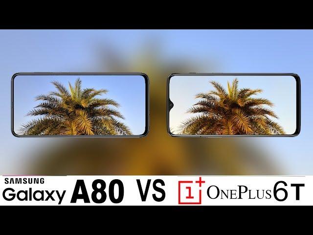 Samsung Galaxy A80 Vs Oneplus 6T Camera Test