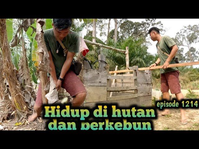 tradisi ritual menurunkan hujan orang jaman dulu warta petani muda hidup di hutan