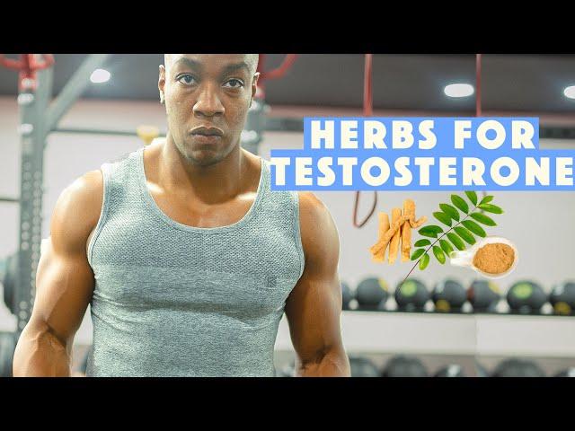 4 HERBS that boost testosterone levels & Tips for instant increase