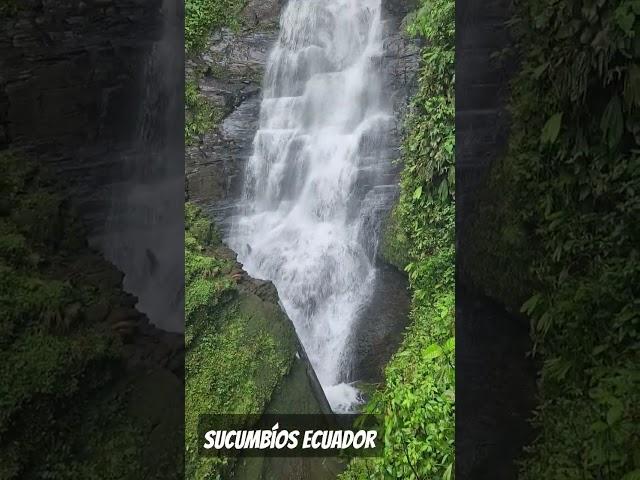 Sucumbíos potencia Turística ️  #turismo #ecuador #turismodeexperiencia #explore