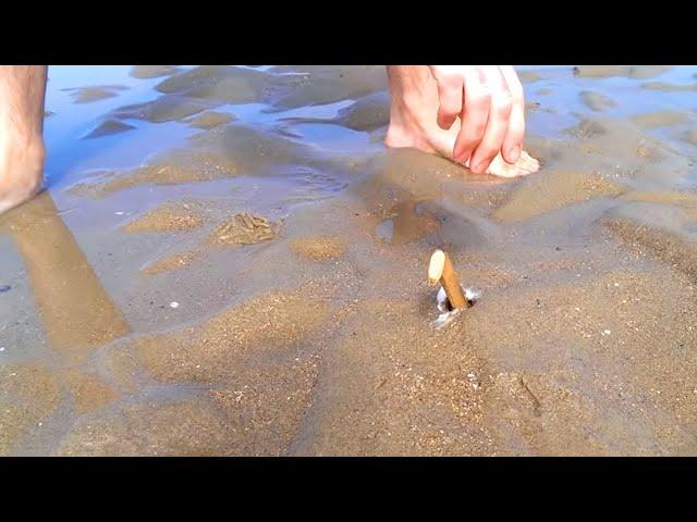 How to Catch a Razor Fish / Clam with just Salt!