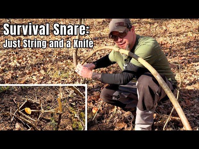 Unleash Your Survival Skills: Crafting A Rabbit Snare Like A Pro