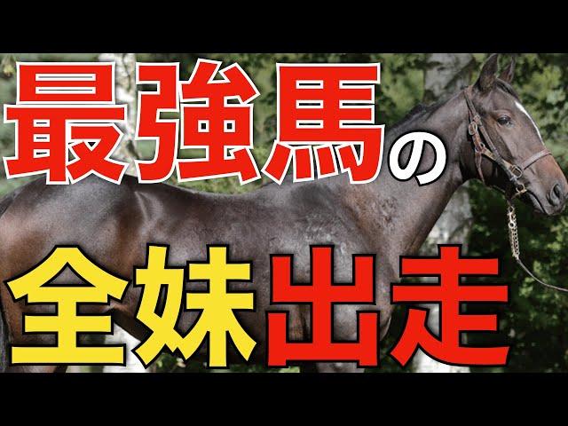 最強馬たちの全妹がついにデビュー！能力の片鱗を見せつける。