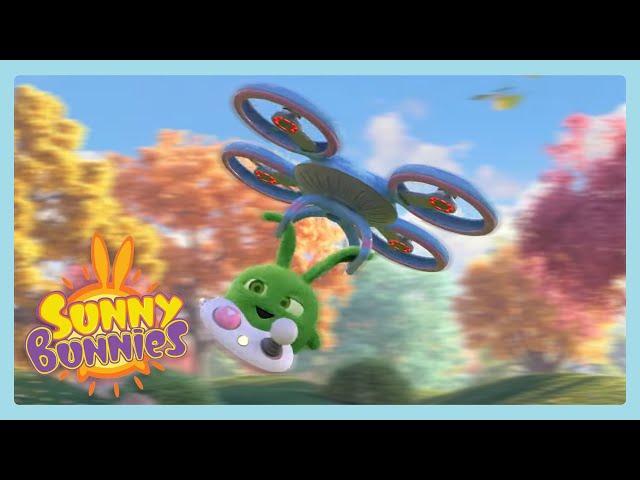 Hoppers Drone | Sunny Bunnies | Wildbrain Wonder