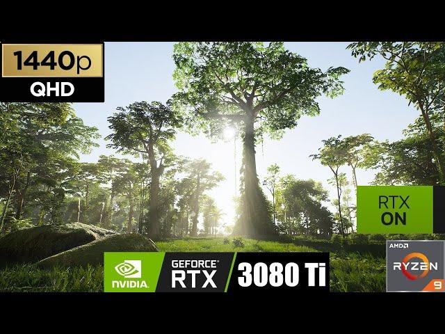 [QHD] UNREAL ENGINE 5 | RAINFOREST BIOME | RTX ON + LUMEN | RTX 3080Ti | Ryzen 9 5900X