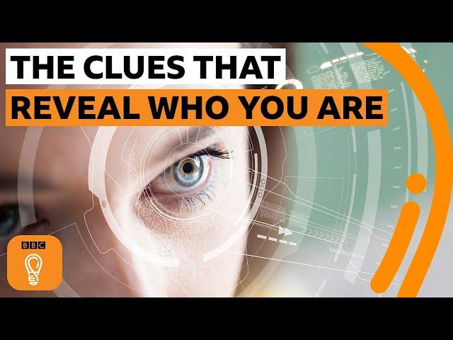 The hidden clues that reveal who you are | BBC Ideas