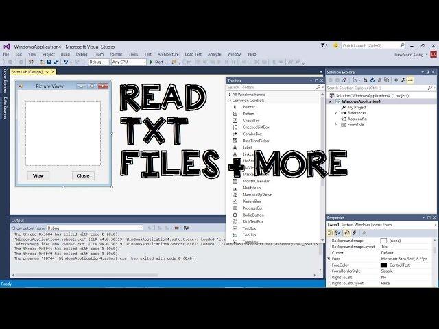 How to read/open txt files in Visual Basic