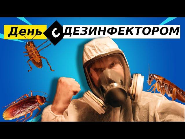 День с ДЕЗИНФЕКТОРОМ \ ТАРАКАНЫ \ КЛОПЫ \ Грязные квартиры \ Уничтожение насекомых