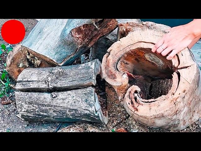 I found an AMAZING stump!! And made a COOL THING out of it #diy #homemade #décor