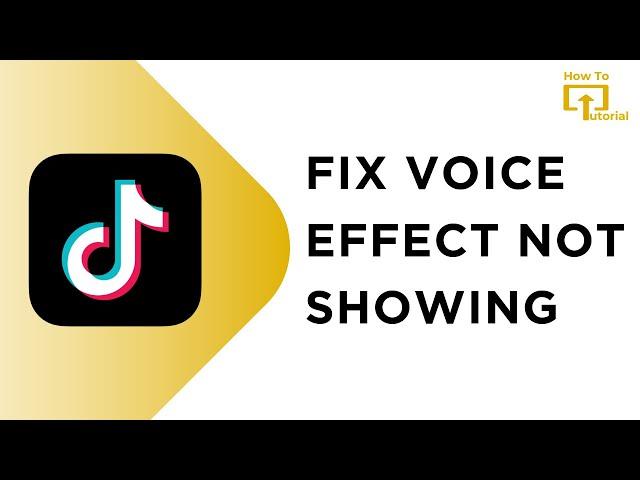 Fix TikTok Voice Effects Not Showing | Fix TikTok Voice Effects Not Working