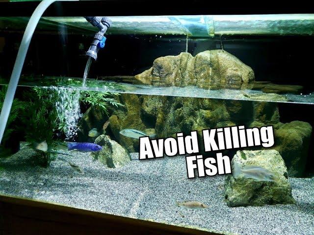 THE SAFEST WAY TO DO WATER CHANGES ON YOUR AQUARIUM