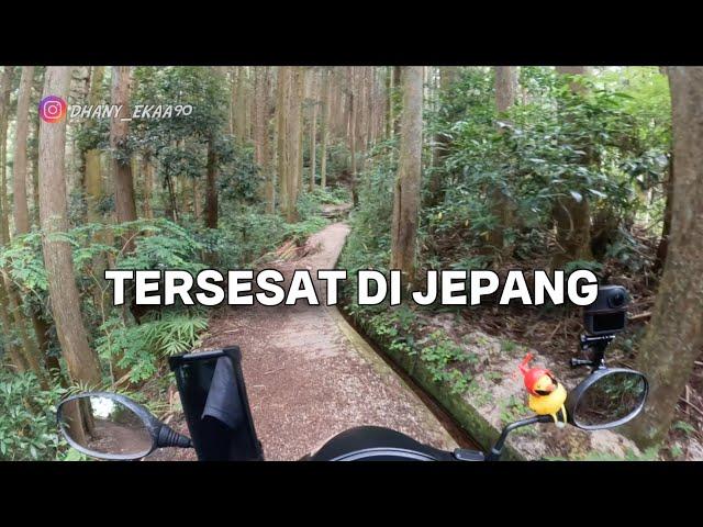 tersesat di pelosok Jepang ... hutan angker ?!!