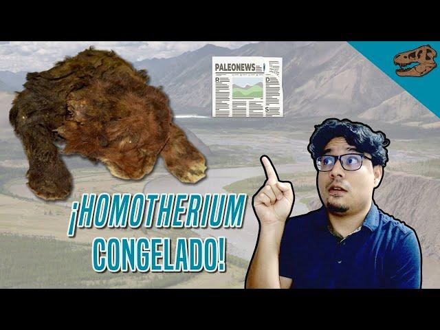 PALEONEWS: ¡Descubren un Homotherium congelado!