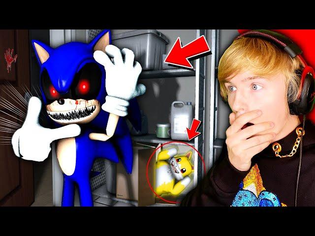 HIDE AND SEEK WITH SONIC!!! (gmod nextbot)