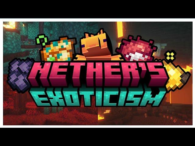 THE BEST NETHER ENHANCING MOD! (Nether's Exoticism)