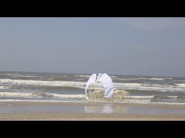 STRANDBEEST EVOLUTION 2018