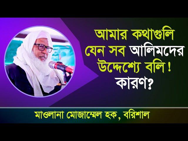 সত্যবাদী কারা, পীর সাহেবরা বলেন, তোমরা সত্যবাদীদের সাথী হও...। বুনিয়ান । Bunian