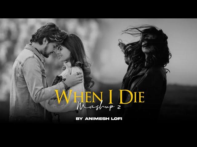 When I Die 2 Mashup | Zara Si Dosti x Bepanah | Sadness Chillout | Animesh Lofi