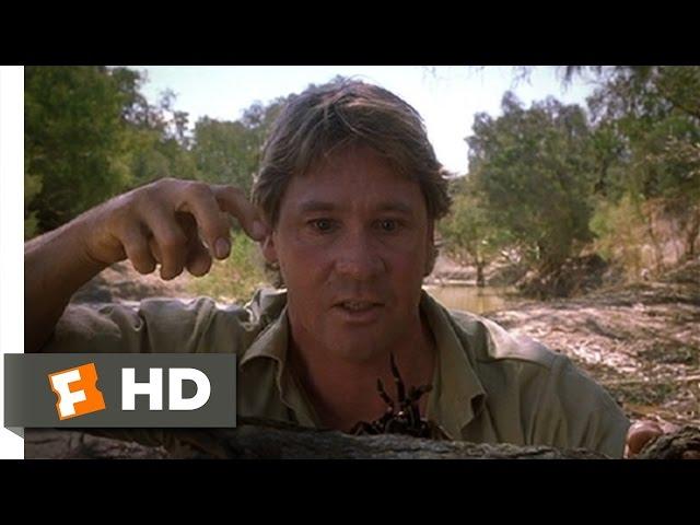 The Crocodile Hunter: Collision Course (5/10) Movie CLIP - Steve Flirts With a Spider (2002) HD