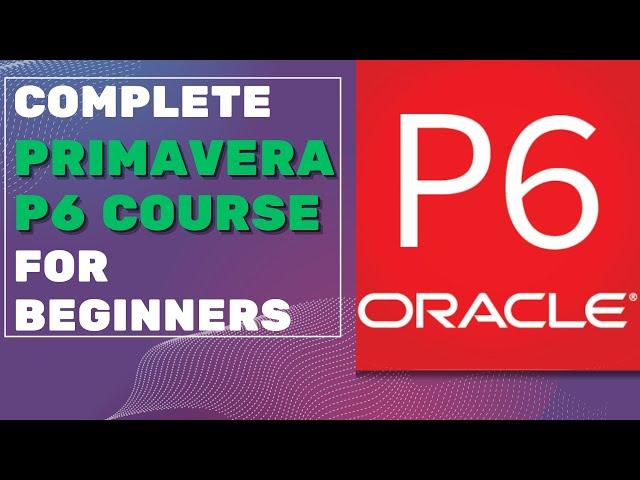 Primavera P6 Training for Beginners: FULL Course (ZERO experience needed!)