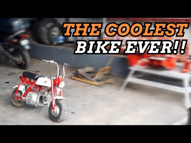 HONDA Z50 MONKEY - Why its the COOLEST BIKE EVER?!