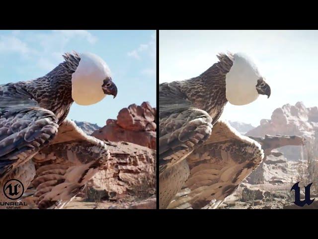 Meerkat Demo Comparison UE4 vs UE5.1 [LIGHTING STUDY]