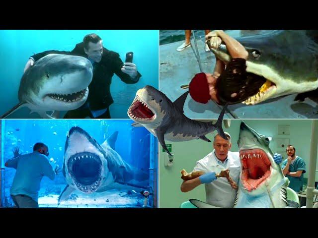 Funniest Shark Commercials of All Time! Funny Shark Ads EVER!