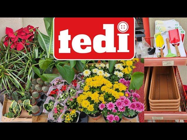 TEDİ MARKETLERDE  ÇİÇEK ve SAKSI ŞÖLENİ #çiçek #keşfet #tedimarket